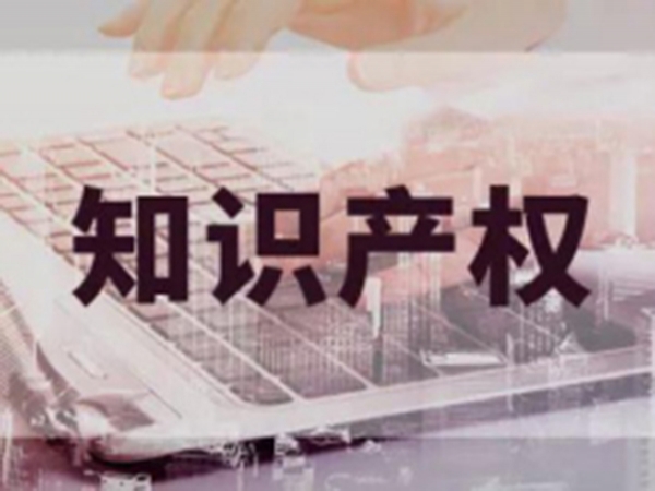 公司獲得的各類知識產權